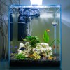 MiOYOOW CO2 Drop Checker, Aquarium CO2 Monitor CO2 Detector without