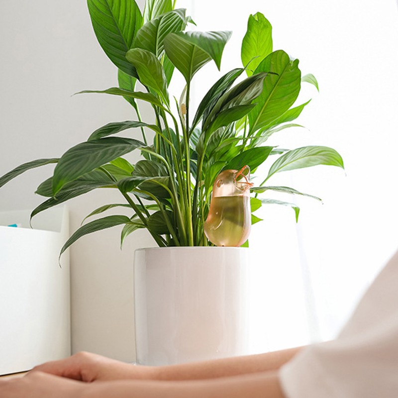 Cute Bird Plant Watering Spikes Self Watering Spikes Automatic Plant