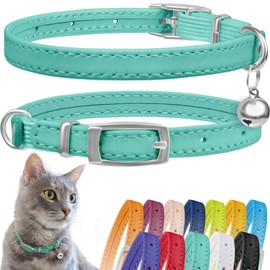 CollarDirect Leather Cat Collar with Bell - Kitten Collar, Small and Big Cat Collar for Boy Cats, Girl Cats with Safety Elastic Strap (Neck Fit 8"-11", Mint Green)