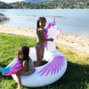 Unicorn and Flamingo Float 2 Pack, Inflatable Flamingo Pool Float