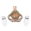 Turtle Salt and Pepper Set Holder, Nautical Décor, Shakers Included,