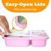 4 Pack Bento Box Lunch Boxes, BPA-Free Reusable Snack Box
