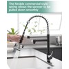 Fapully Kitchen Sink Faucet, Pull Down Kitchen Faucet, Black and