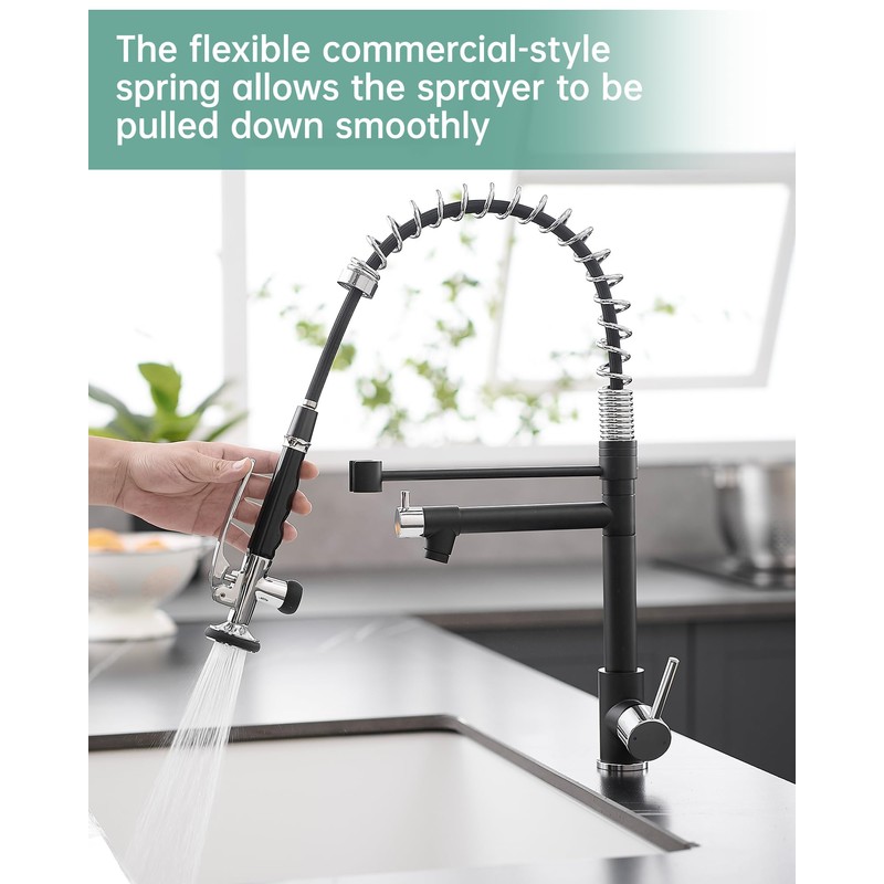 Fapully Kitchen Sink Faucet, Pull Down Kitchen Faucet, Black and