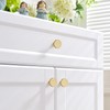WEAVERBIRD 10X Gold Round Knobs Drawer Pulls Cabinet Knobs Aluminum