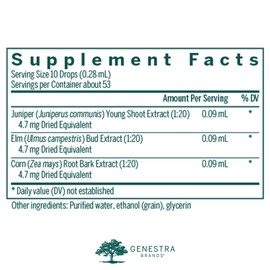 Genestra Brands Genestra Brands Renal-gen | Juniper, Elm, and Corn Herbal Supplement | 0.5 fl. oz.
