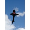 In the Breeze 7.5 Foot 3D Shark Kite - Single