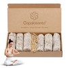 Copalosanto - White Sage Pack of 6 | Sage Incense
