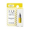 Sailor Fountain Pen, Fountain Pen Nib Dip Pen Hocoro Replacement
