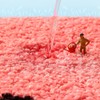 Lkw Ogechi Microfibre Bath Mats for Bathroom 80 x 50