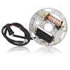 FLYPIG New Stator for Suzuki LT 80 LT80 Quadsport 1987-2006