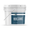 Earthborn Elements Basil Leaves 1 Gallon Bucket, Kitchen Staple, Aromatic
