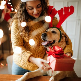 Maca Bates Collar para Perro con Lazo Navidad Rojo, Colores Sólidos, Lazo Marinero, Ajustable, Suave, Duradero, para Perros Pequeños, Medianos, Grandes, Machos y Hembras, así como Cachorras.