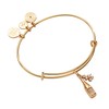 Alex and Ani Champagne Bangle