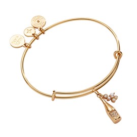 Alex and Ani Champagne Bangle