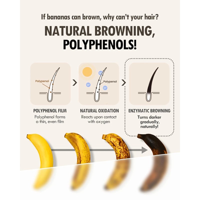 ModaModa Zero Gray Black Hair Shampoo (10.58 Oz) Natural Darkening