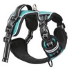 HEELE No-Pull Dog Harness, Chest Harness for Large Dogs, Adjustable,