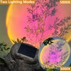 GOODFOEVER Solar Rock Lights(2pcs) Sunset Projection Lights Atmosphere Night Light