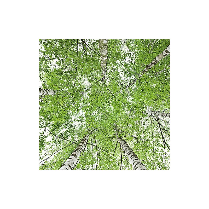 Weleda Birch Anti-cellulite Oil 100ml