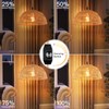 Plug in Pendant Light, Farmhouse Hanging Chandelier Lights with 15ft