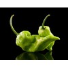 Green Ghost Pepper Bhut Jolokia Heirloom Pepper Premium Seeds for Planting Packet