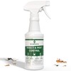 EcoSeem Insect & Pest Control Spray – Natural Essential -