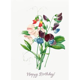 PIXILUV HAPPY BIRTHDAY Greeting card ~ Bunch of Wild Flowers and Green Plants ~ Birthday Wishes Vintage Large Greeting Card
