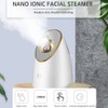 100ml Facial Steamer Nano Steam SPA Spray Moisturizer Face Sprayer