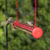 Perky-Pet HUMBAR200DTC Hummerbar Hummingbird Feeder, 2' , Red