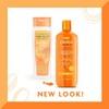 Cantu Shea Butter for Natural Hair shampoo and conditioner, sulphate
