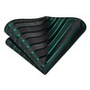 Hi-Tie Black Tie Emerald Green Tie Silk Extra Long 70''