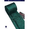 Hisdern TP-01S Men’s Paisley Pattern Necktie and Square Set, Business,