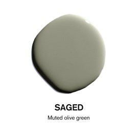 BACKDROP | Premium Exterior Paint | Standard Semi Matte, Low Sheen Finish | Self-Priming, Low VOC, Green Wise Certified | SAGED - Muted olive green | 0.5 Gallon