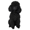 Vivid Arts (Poodle Sitting Black