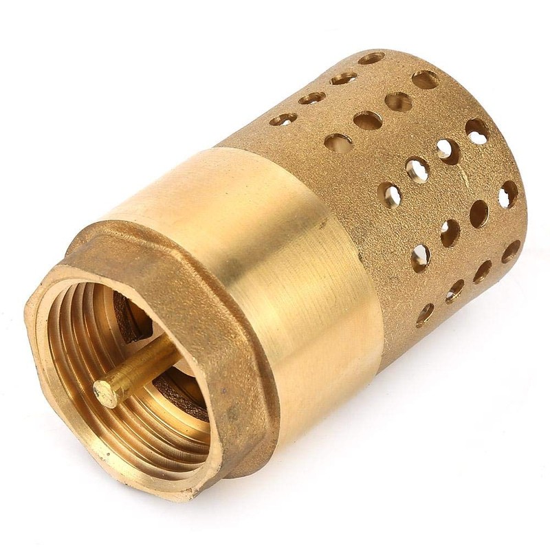 DN25 Female Female Brass Check Valve with Filter Filter
