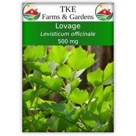 TKE Farms & Gardens - Lovage Seeds for Planting, 500 Mg, 140 Heirloom Seeds, Non-GMO, Packet Includes Instructions for Growing, Levisticum officinale, Qty 1