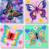 Pack of 4 Butterfly Painting by Numbers from 5 6