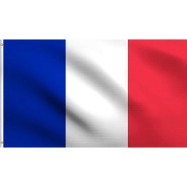 DMSE France French National Flag 3X5 Ft Foot 100% Polyester 100D Flag UV Resistant -