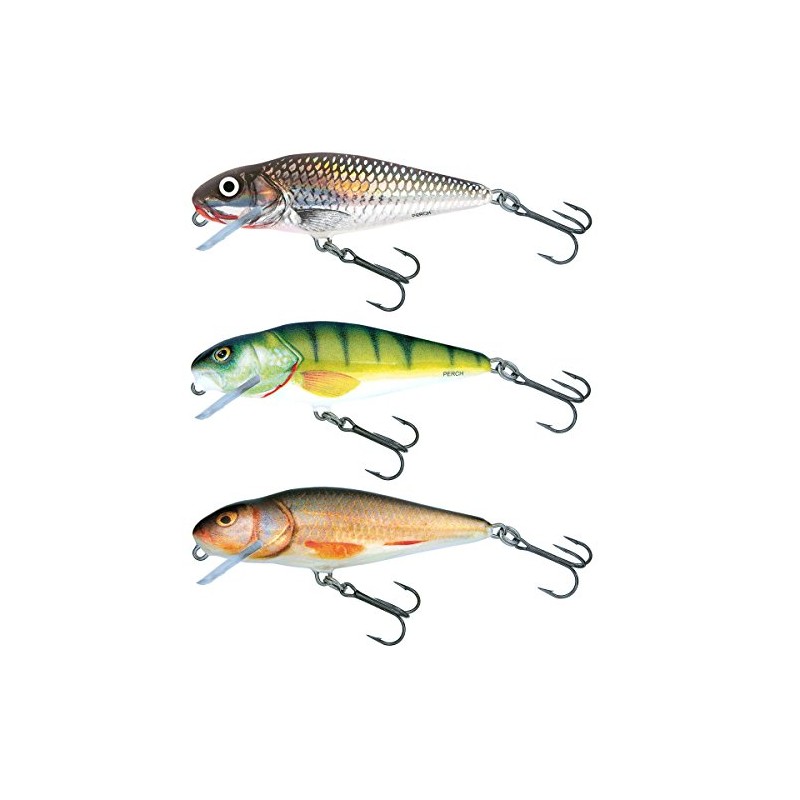 Salmo Perch Wobbler Jerkbaits for Pike, Zander, Perch, Pike Bait,