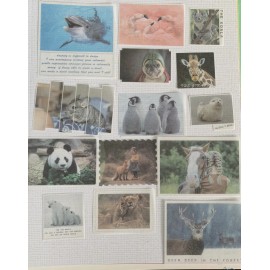 Unbranded 20 Washi Wildlife Owls Deer Stickers Scrapbooking Junk Journal