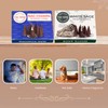 TRUMIRI Incense Cones - Combo Pack of 20 Cone Incense