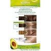 Garnier Nutrisse Creme Coloración Permanente Con Mascarilla Nutritiva De Cuatro
