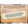 C. B. Gitty Blues & Exotic Scales Poster for 3-String