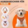 Dog Harness with Dog Lead Set, Air Mesh Breathable Chest