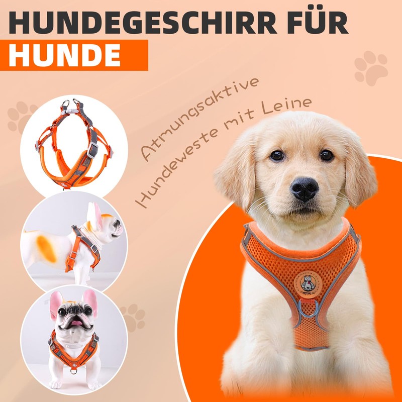 Dog Harness with Dog Lead Set, Air Mesh Breathable Chest