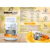 ZINC, Vitamina C y Cúrcuma Maxima Absorción Formula PREMIUM