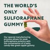 NeuroBrocc Sulforaphane Supplement Gummies - Potent Broccoli Sprout Extract Supplement
