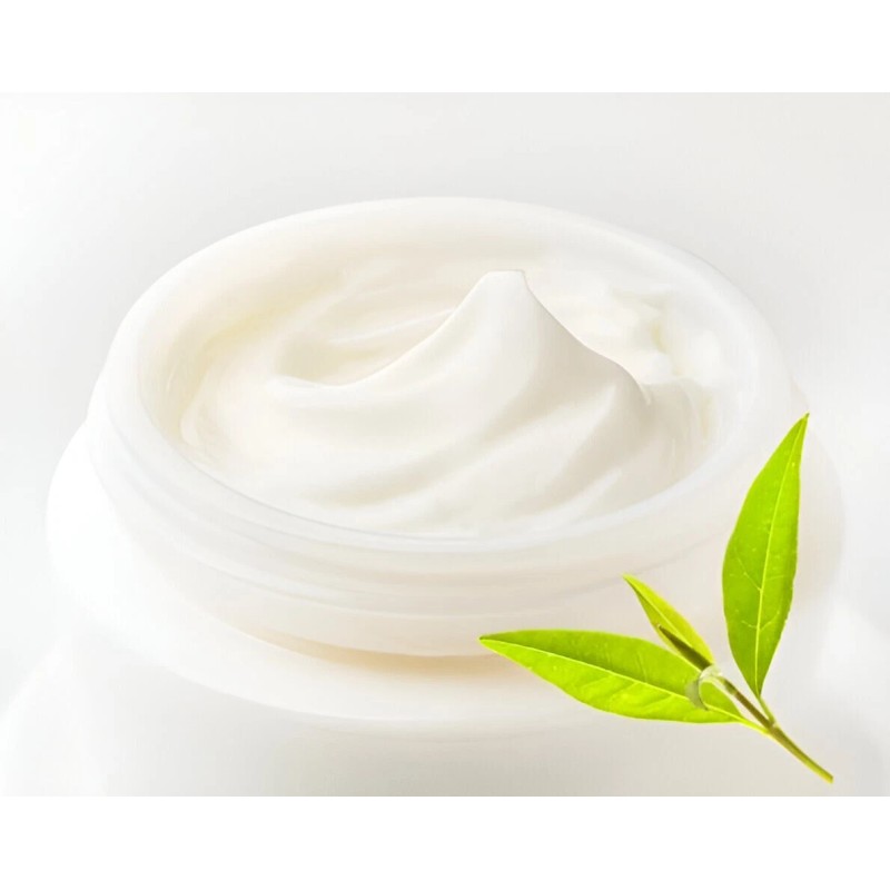 Sun Star Organics Coconut Rose MSM Lotion - 32 oz