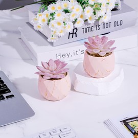 ZENIDA Artificial Succulent Plants in 2 White Ceramic Pots, Cute Fake Plants for Vanity Decor,Office, Desk, Bathroom, Kitchen,Bedroom, Shelves Decor for Women,Girls Gift