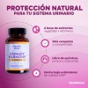 Suplemento Platinum Salud Urinaria Con Arándano (60 Cáps) Hh Sabor
